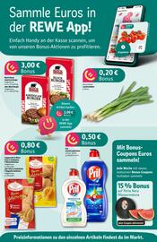 REWE Center Prospekt woche 30 Seite 2