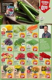 REWE Center Prospekt woche 30 Seite 7