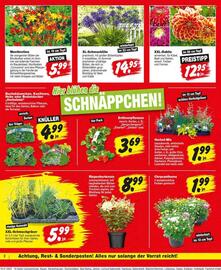 Repo Markt Prospekt woche 30 Seite 2