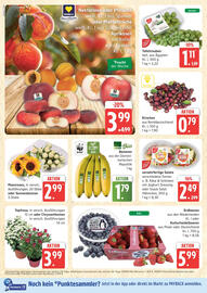 Marktkauf Prospekt Seite 6