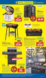 Lidl Prospekt woche 32 Seite 21