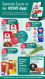 REWE Prospekt woche 30 Seite 2