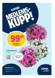Matkroken Kundeavis uke 30 Side 6