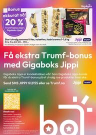 Gigaboks Kundeavis uke 30 Side 8