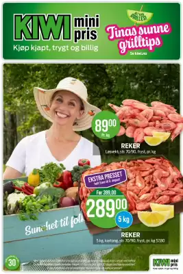 Kiwi Kundeavis