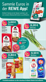 REWE Prospekt woche 30 Seite 2