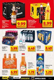 Elli Markt Prospekt woche 30 Seite 10