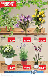 Catalog Kaufland săptămâna 30 Pagină 24