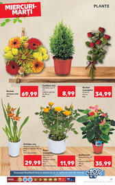 Catalog Kaufland săptămâna 30 Pagină 25