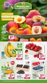 Wasgau Prospekt woche 30 Seite 8