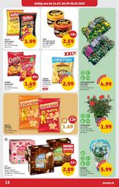 PENNY Flugblatt woche 30 Seite 13