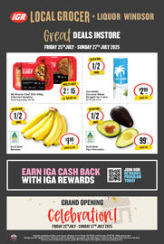 IGA catalogue Page 2