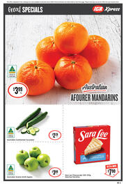 IGA catalogue week 30 Page 4