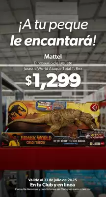 Catálogo Sam's Club (válido hasta 31-07)