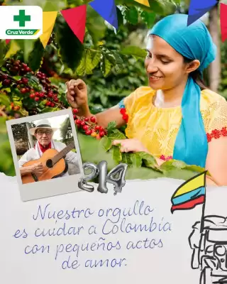 Catálogo Cruz verde