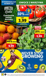 Lidl gazetka Strona 18