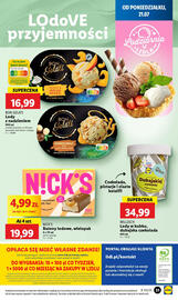 Lidl gazetka Strona 39