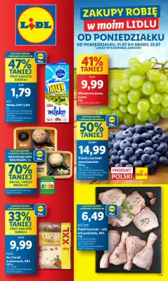 Lidl gazetka
