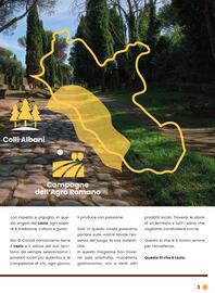 Volantino Conad Pagina 3