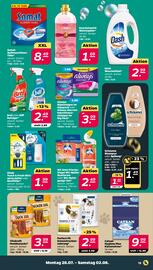 NETTO Prospekt woche 31 Seite 13