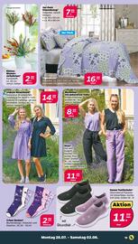 NETTO Prospekt woche 31 Seite 17