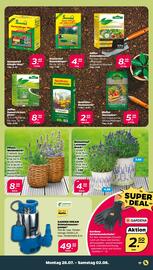 NETTO Prospekt woche 31 Seite 19