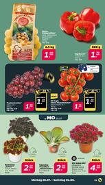 NETTO Prospekt woche 31 Seite 3