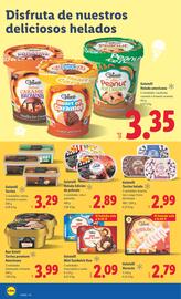Folleto Lidl semana 31 Página 22
