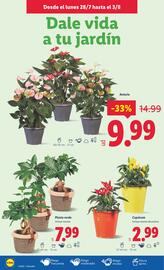 Folleto Lidl semana 31 Página 26
