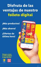 Folleto Lidl semana 31 Página 17