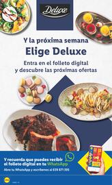Folleto Lidl semana 31 Página 22