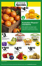 Woolworths catalogue week 30 Page 19