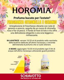 Volantino Schiavotto Pagina 3