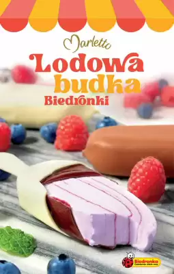 Biedronka gazetka (ważność do 31-07)