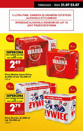 Biedronka gazetka tydzień 30 Strona 17