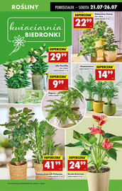 Biedronka gazetka tydzień 30 Strona 79