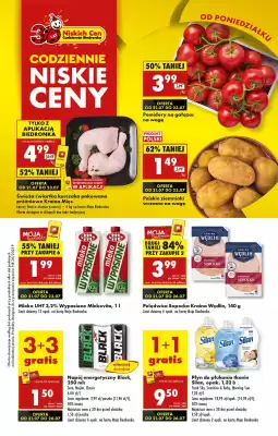 Biedronka gazetka