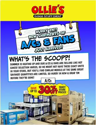 Ollie's Weekly Ad