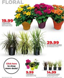 Hy-Vee Weekly Ad week 30 Page 29