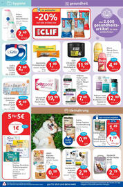 Budni Prospekt woche 31 Seite 5