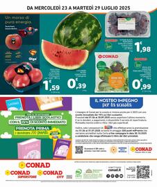 Volantino Conad City settimana 30 Pagina 8