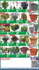 Wreesmann Prospekt woche 30 Seite 11