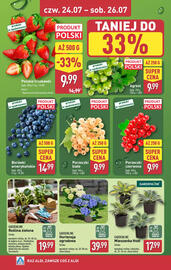 ALDI gazetka tydzień 30 Strona 6