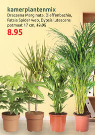 Deka Tuin folder Pagina 3