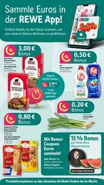 Rewe DE folder week 30 Pagina 2