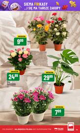 Polomarket gazetka tydzień 30 Strona 59