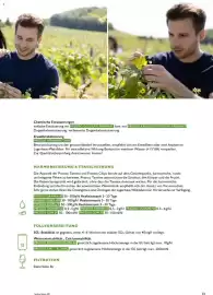 Lagerhaus Flugblatt Seite 13