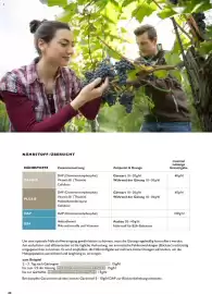 Lagerhaus Flugblatt Seite 24