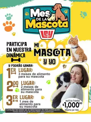 Catálogo Casa Ley (válido hasta 26-07)