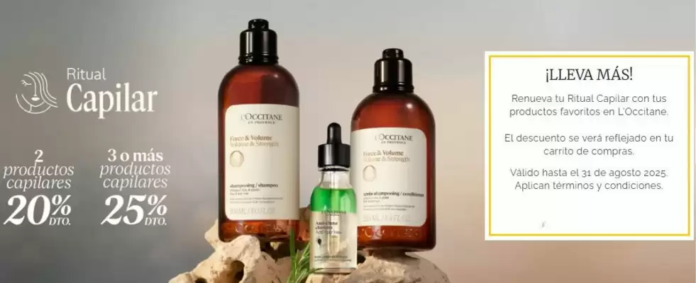 Catálogo L'Occitane (válido hasta 31-08)